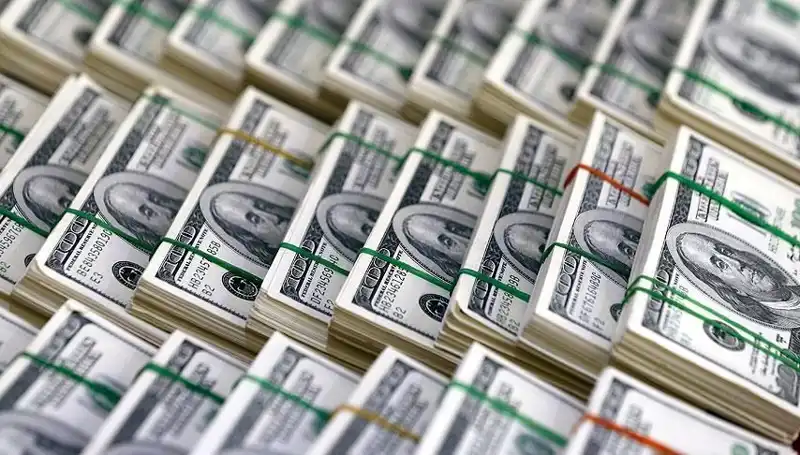 Doların Hızla Yükselmesi İçin Uyarılar Geliyor, Ekonomistler Ne Dedi?