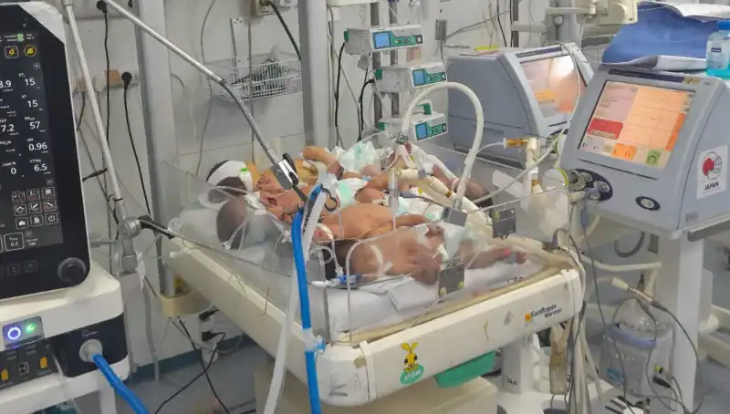 Gazzeli Doktorların Çağrısı: "Aynı Kuvözde Birden Fazla Bebek Hayat Mücadelesi Veriyor!"