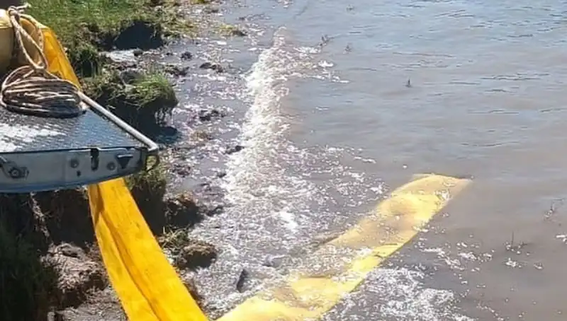 Türkiye Geneli Göletlere Yavru Balıklar Bırakıldı, Su Kaynakları Canlanıyor!