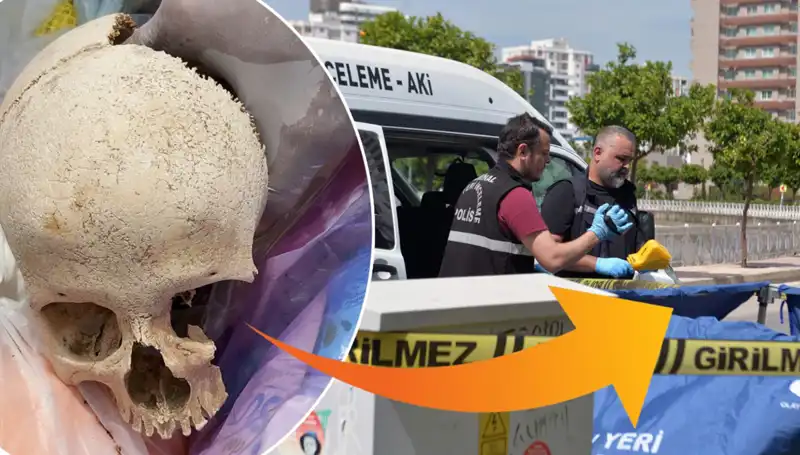 Sitenin Çöpünde Bulunan Kafatasının Gizemi ve Gözaltına Alınan Doktor
