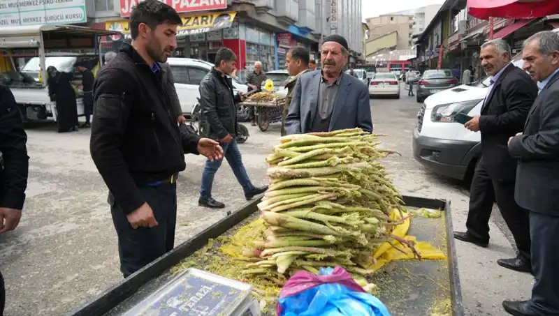 Dağlık Alanların Şeker, Kanser ve Mide Hastalığına Faydaları: Gerçek mi?