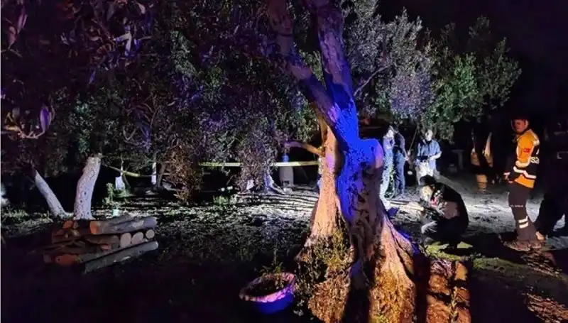 Çiftlikteki Baltalı Vahşete Flaş Tutuklama: Olayın Ardındaki Gerçekler Neler?