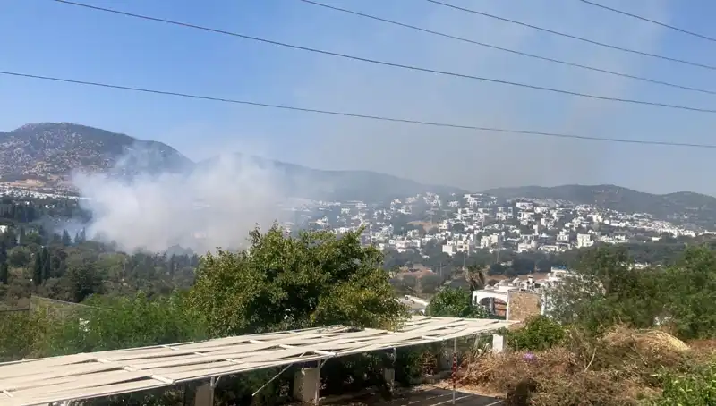 Muğla'daki Yangınlar Kontrol Altında: Son Durum ve Gelecek Adımlar