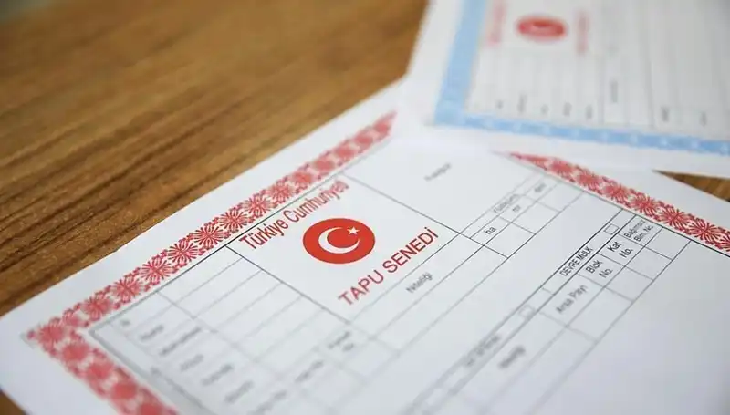 100 Milyonluk Hile: "Hisseli Tapu" Tuzağı Ortaya Çıktı