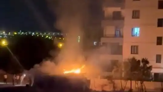 Elazığ'da Meydana Gelen Kümes Yangınında Hayvanlar Telef Oldu