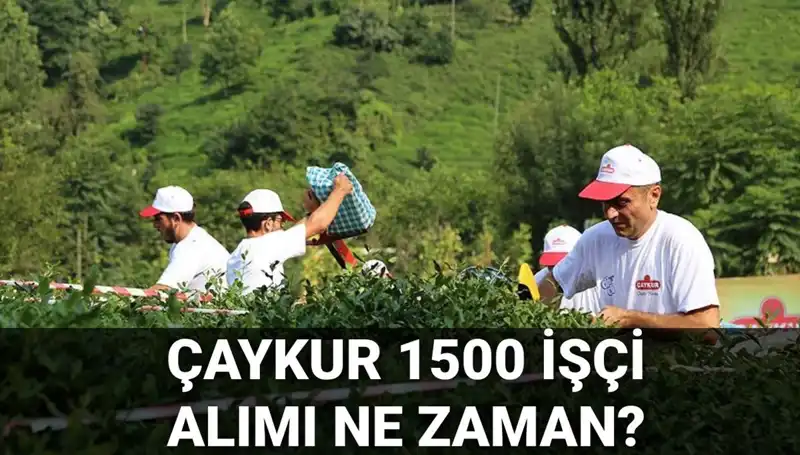 Çaykur İşçi Alımı İçin Son Başvuru Tarihleri Açıklandı!