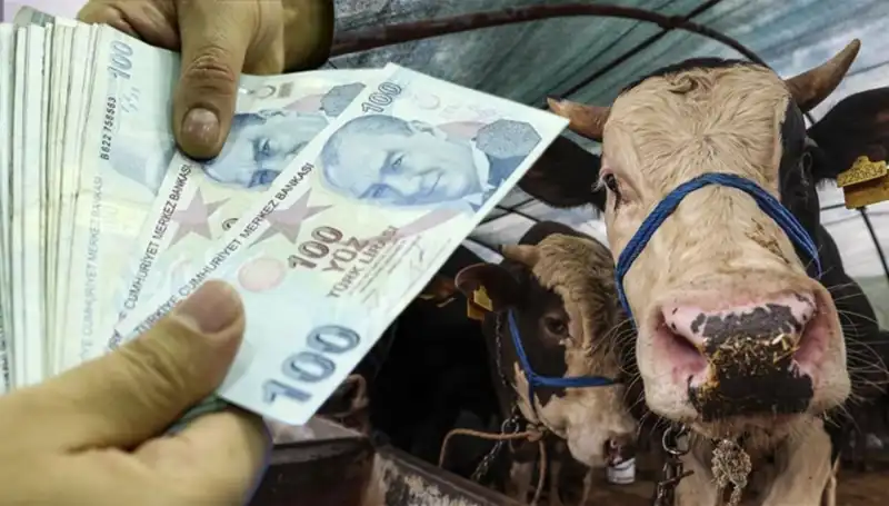 Bayram Öncesi Emekli ve Memur Maaşları Yatacak mı?