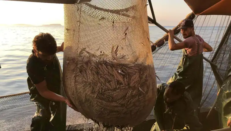 Balıkçılar İhlal Yapanlarla Savaş Açtı: Cezalarda Fırtına Kopuyor!