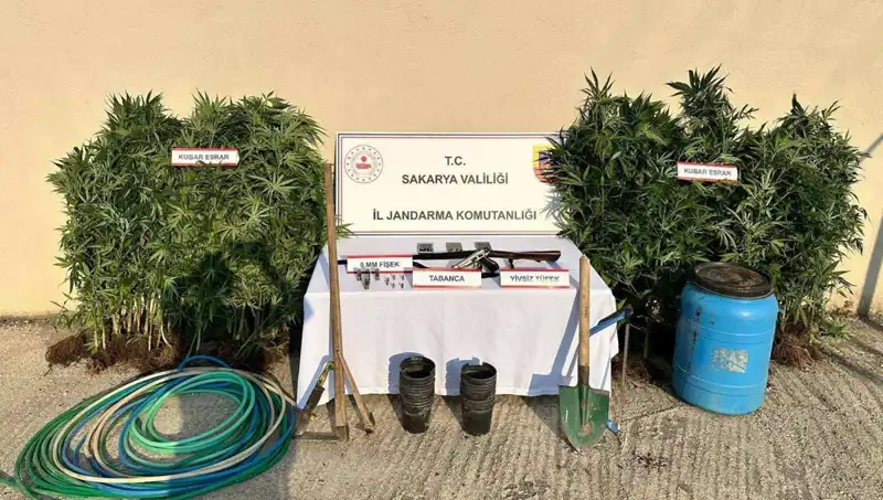 Sakarya'da Uyuşturucu Operasyonu: 1 Kişi Tutuklandı, Daha Fazlası Soruşturuluyor
