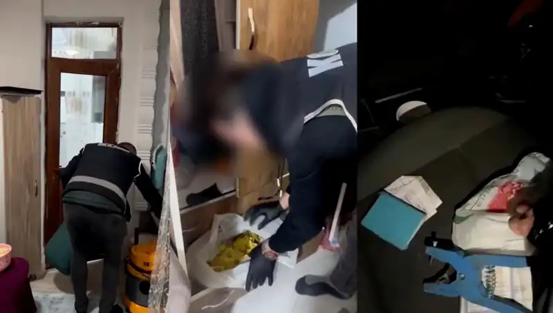 Hayvan Sevk Belgesi Usulsüzlüğünde Büyük Operasyon: Dokuz Gözaltı!