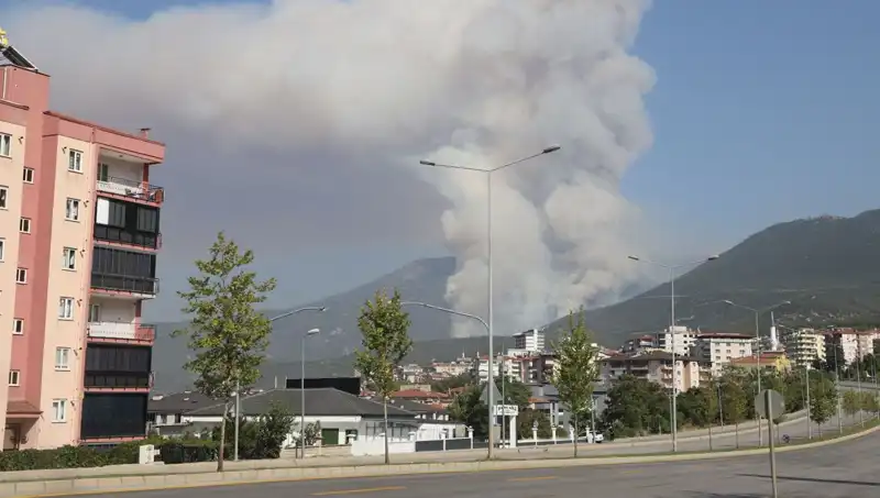 Denizli Orman Yangınında Şüpheli Gözaltına Alındı: Olayın Ayrıntıları