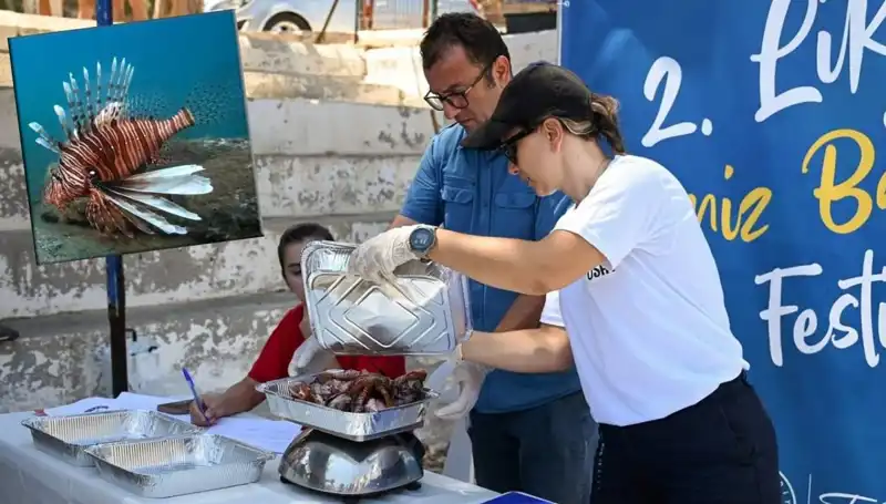Antalya'da Israrla Artan İstila: Aslan Balığı Avlama Yarışması Yapıldı