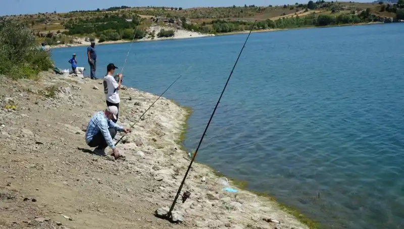 Kafesler Patladı, Baraja Koşan Kalabalığın Nedenleri ve Sonuçları